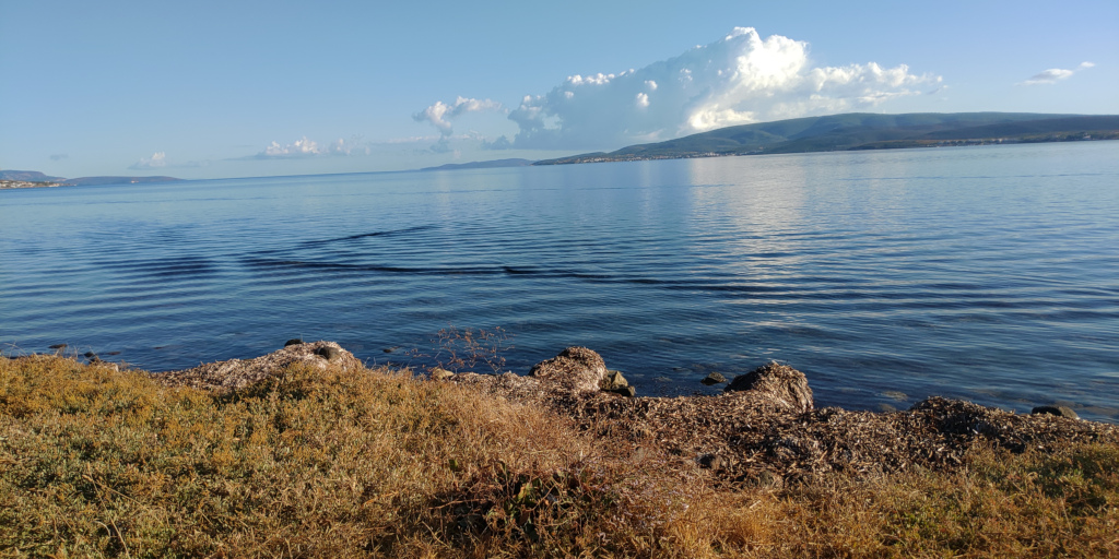 Wave refraction in Gülbahçe Bay