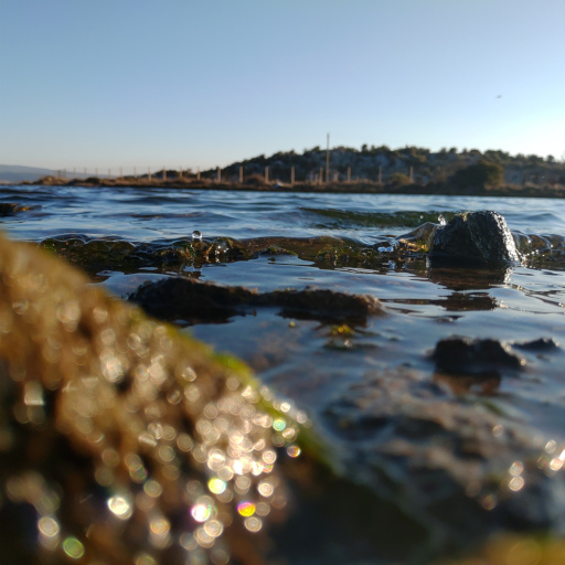 A water droplet and wave